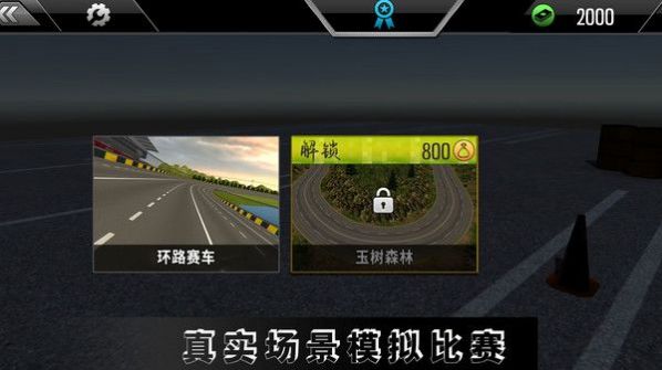 高难度驾驶大师游戏手机版下载图片1