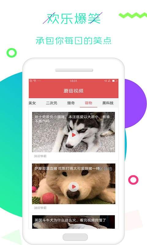 蘑菇视频免费版mv看片图片1