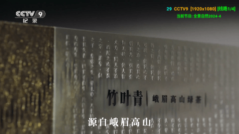 海外TV电视盒子版