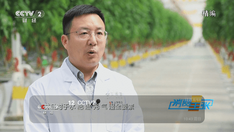 云雀电视2024最新版