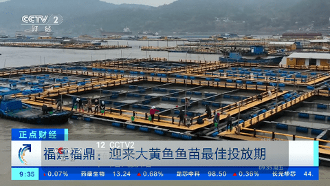 新港湾直播2024官方版