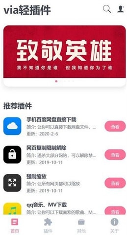via轻插件截图1