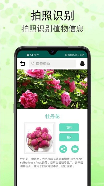 识花草手机版截图1