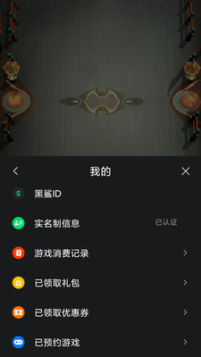 黑鲨游戏服务截图1