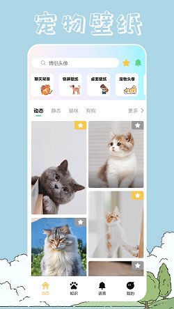 桌面宠物壁纸截图1