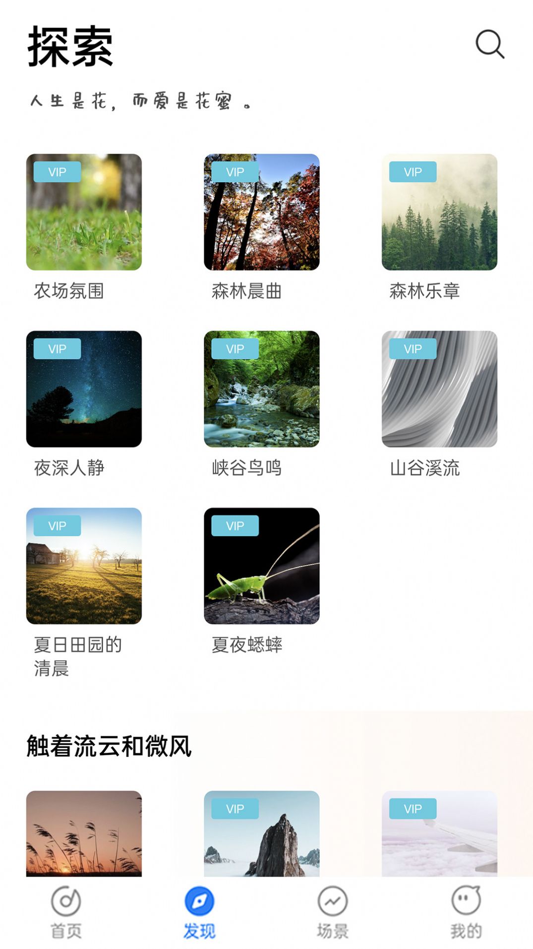 蜜獾睡眠助眠截图1