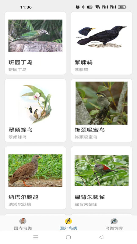 鸭鸭的世界截图2