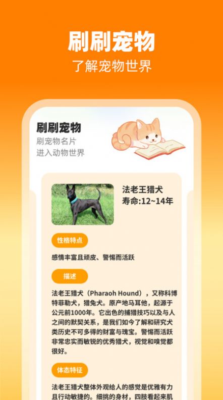 刷刷有喜截图2