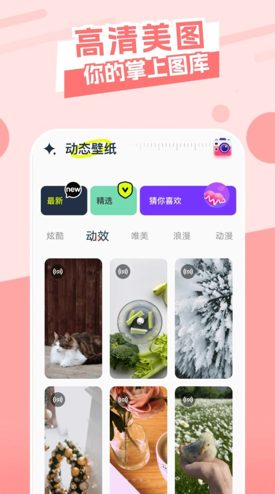 主题库精灵截图2