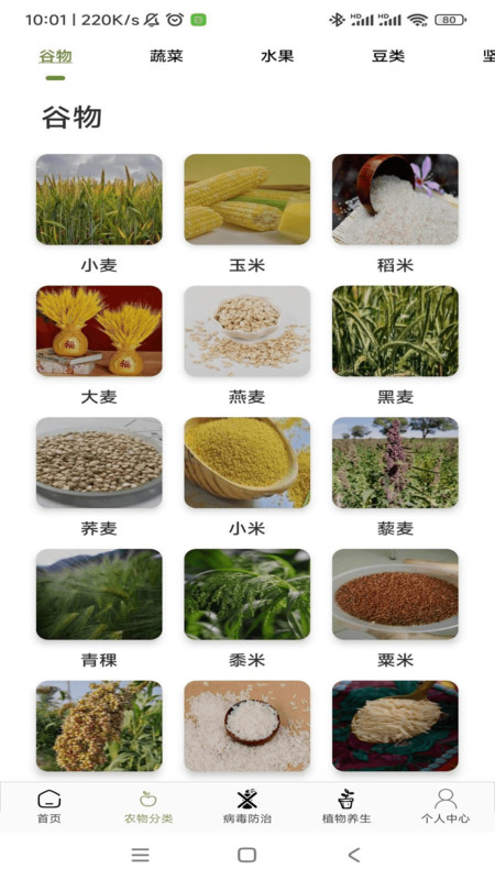 农场妙手截图2