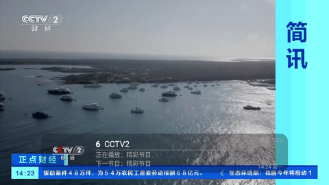 熊大TV截图1