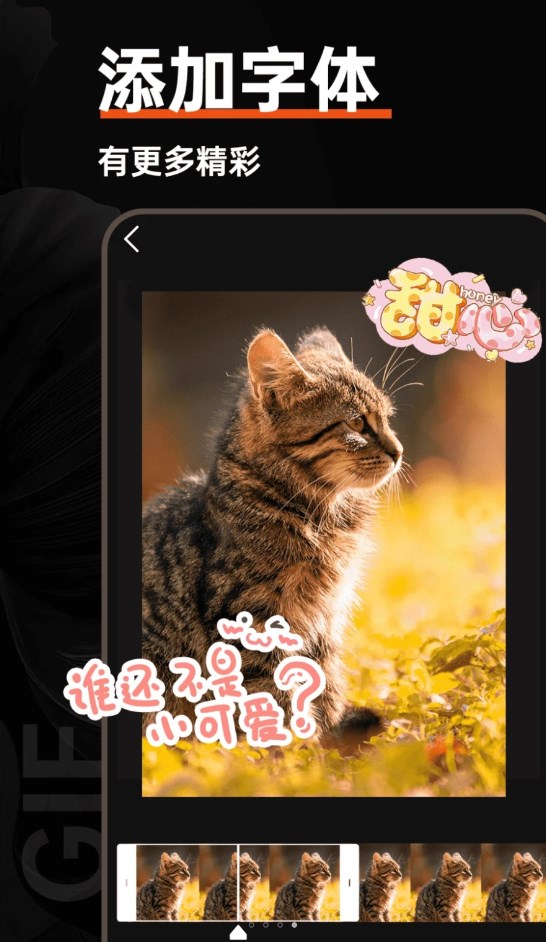 gif动图社区截图2