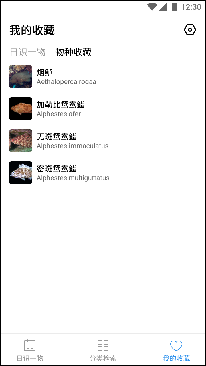 奇妙海洋截图1