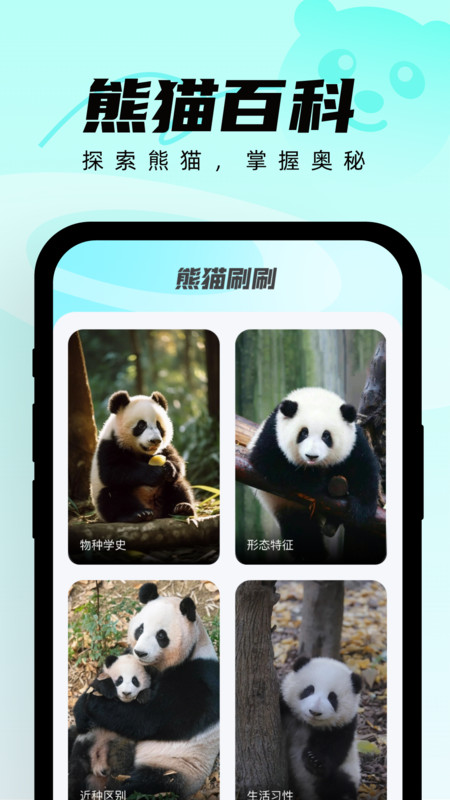 熊猫刷刷截图1