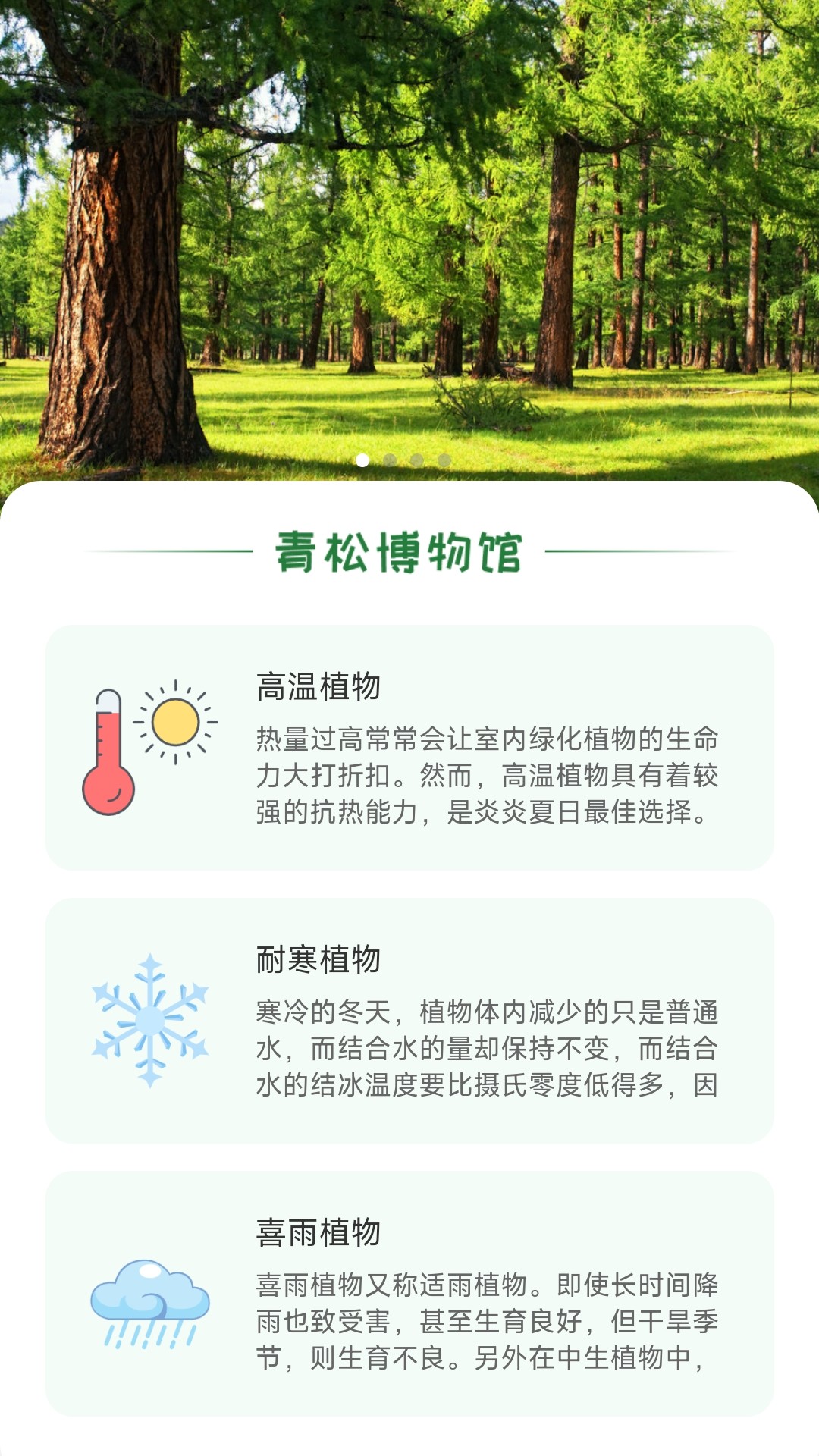 青松奇源截图2