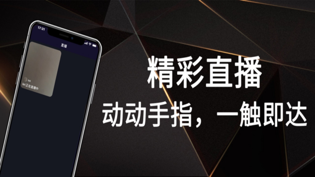 挥影Live截图1