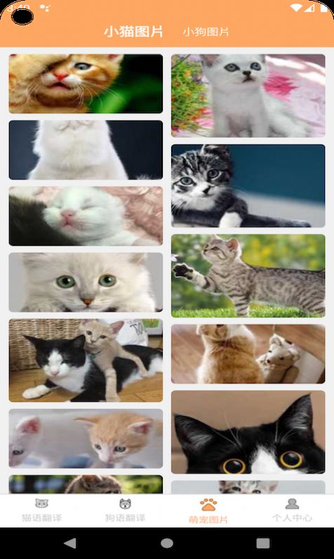 喜晟猫狗翻译截图1