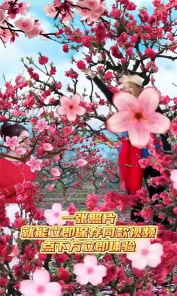 魔力音乐相册截图1