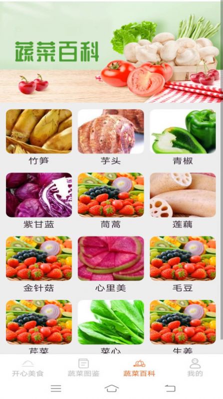 美食多点点截图1