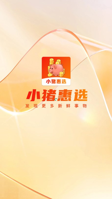 小猪惠选截图1