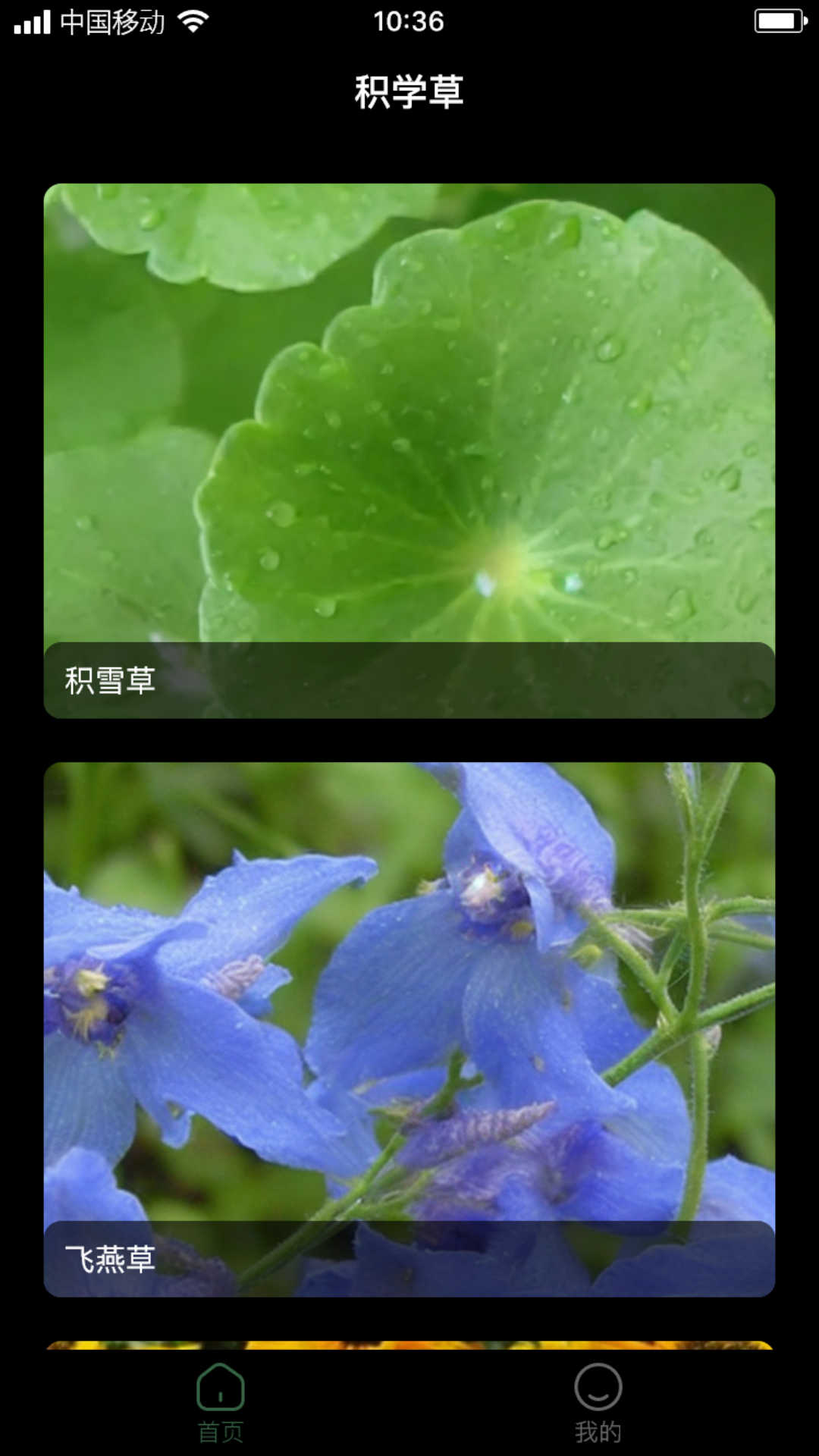积学草截图2