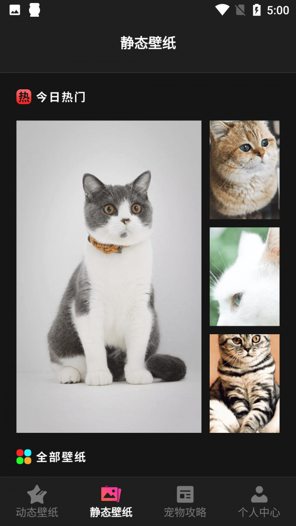 小猫壁纸截图1