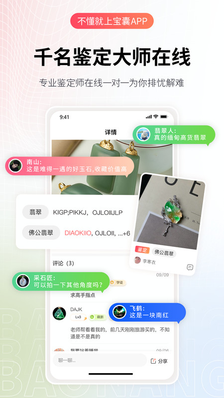 宝囊截图2