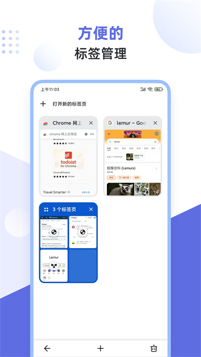 狐猴浏览器app2024最新版截图1