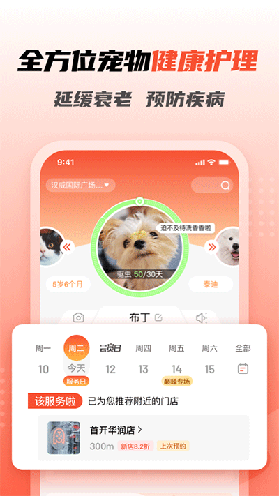 宠物家截图1