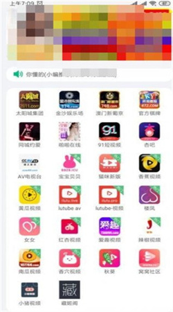 绿巨人截图2