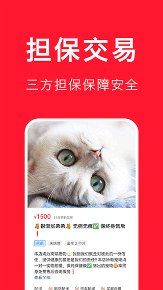 宠物宝app下载截图1