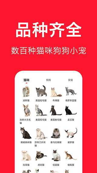 宠物宝app下载截图2