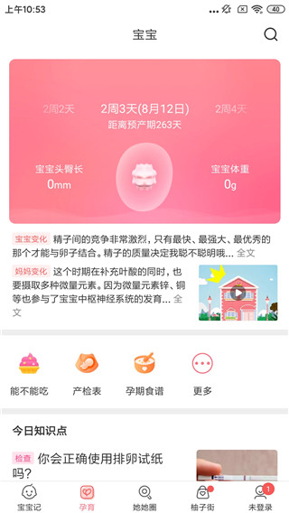 美柚孕期