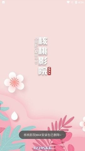 核桃影院max截图1