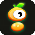 毛豆视频传媒app正版1.0.9