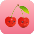 樱桃网app正版v1.0.0
