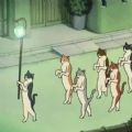 猫的报恩壁纸appv1.0