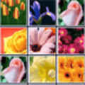 花花连连看游戏官方正版 v1.0