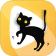 波斯猫视频