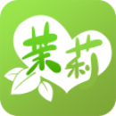 茉莉直播视频