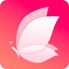 花蝴蝶直播app