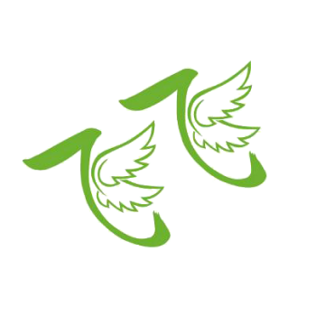 飞飞影院app