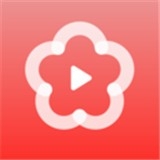 梅花直播视频app