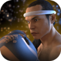 泰拳2格斗冲突中文版游戏最新版 v1.05
