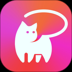 喵聊交友app正式版