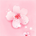 226.t∨浪花直播下载