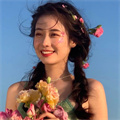 桃花雨直播