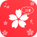 樱花D漫TV