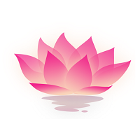 荷花工具箱app最新版