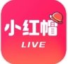 小红帽直播app安卓版